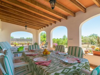 Villa S'Alqueria Blanca Buitenaudio-opname 4