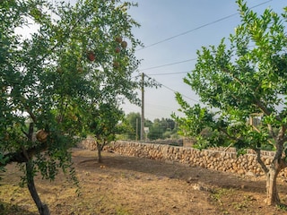 Villa Algaida Umgebung 39