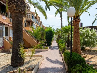 Appartement La Mata Enregistrement extérieur 18