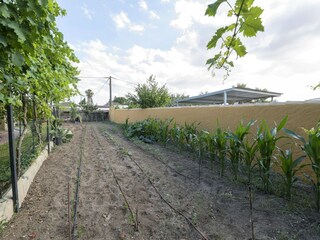 Ferienhaus Chiclana de la Frontera Umgebung 35