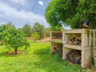 Villa Sa Pobla Außenaufnahme 10