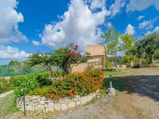 Villa Manacor Buitenaudio-opname 11