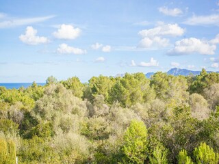 Ferienhaus Son Serra de Marina Umgebung 30