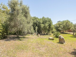 Villa Costa de los Pinos Außenaufnahme 19