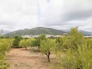 Casa per le vacanze Mancor de la Vall Ambiente 34