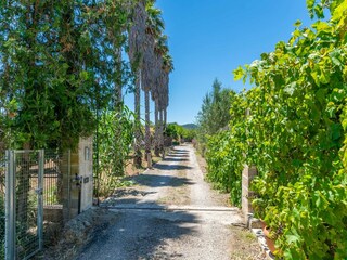 Villa Manacor Omgeving 23
