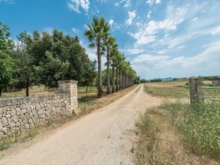 Maison de vacances Sant Llorenc des Cardassar  52