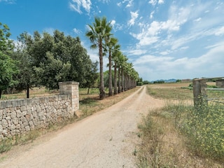 Ferienhaus Sant Llorenc des Cardassar  36
