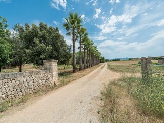 Maison de vacances Sant Llorenc des Cardassar  36