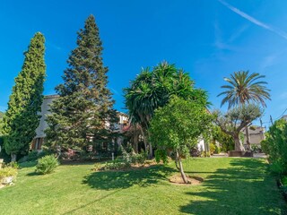 Villa Lloseta  61