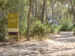 Apartment Cala D'Or  25