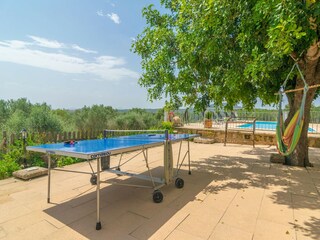 Villa Petra  45