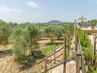Villa Petra  54