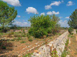 Ferienhaus Porreres  33