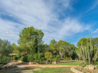 Villa Santa Margalida Environnement 32