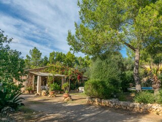 Villa Santa Margalida Environnement 33