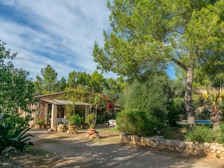 Villa Santa Margalida Umgebung 33