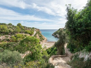Apartment Calas de Mallorca Environment 29