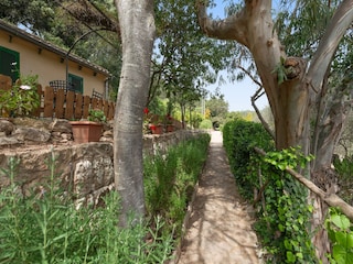 Villa Esporles  39