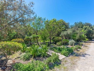 Villa Pollensa Outdoor Recording 15