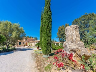 Villa Pollensa Environment 38