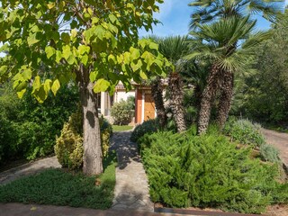 Villa Pollensa Buitenaudio-opname 15