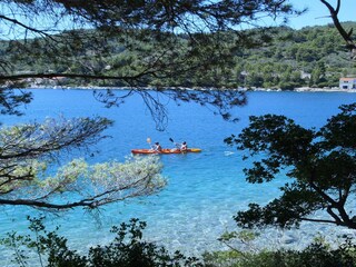 Apartment Vela Luka  33