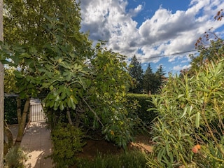Apartment Jadranovo Außenaufnahme 2