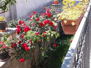 Casa per le vacanze Turanj  18