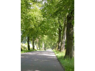 Cycling in the beautiful surroundings