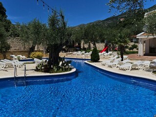 Apartment Budva  11