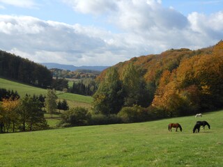 Herbst im Extertal