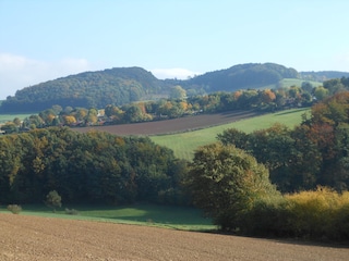 Fernblick auf die Ferienhaussiedlung