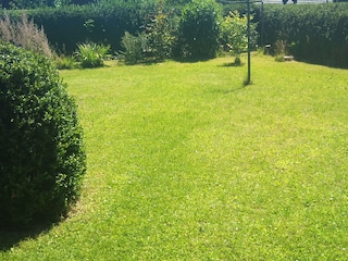 eine große Wiese lädt ein zum Träumen