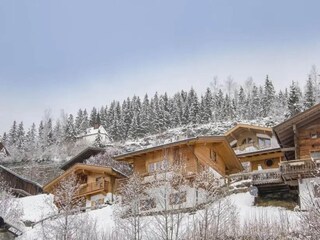 Vakantiepark Wald im Pinzgau Buitenaudio-opname 6
