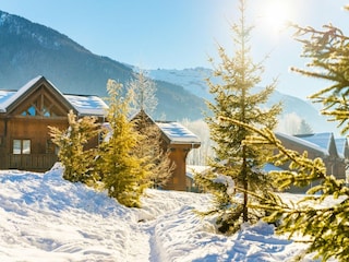 Chalet Samoëns Umgebung 19