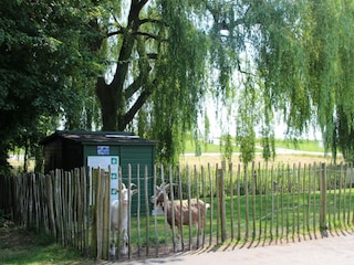 Holiday house Moerkapelle  34