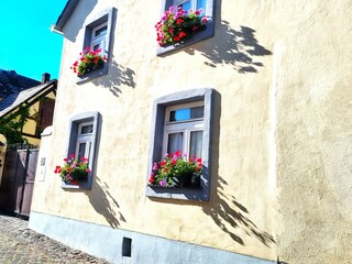 Casa per le vacanze Gappenach Registrazione all'aperto 3