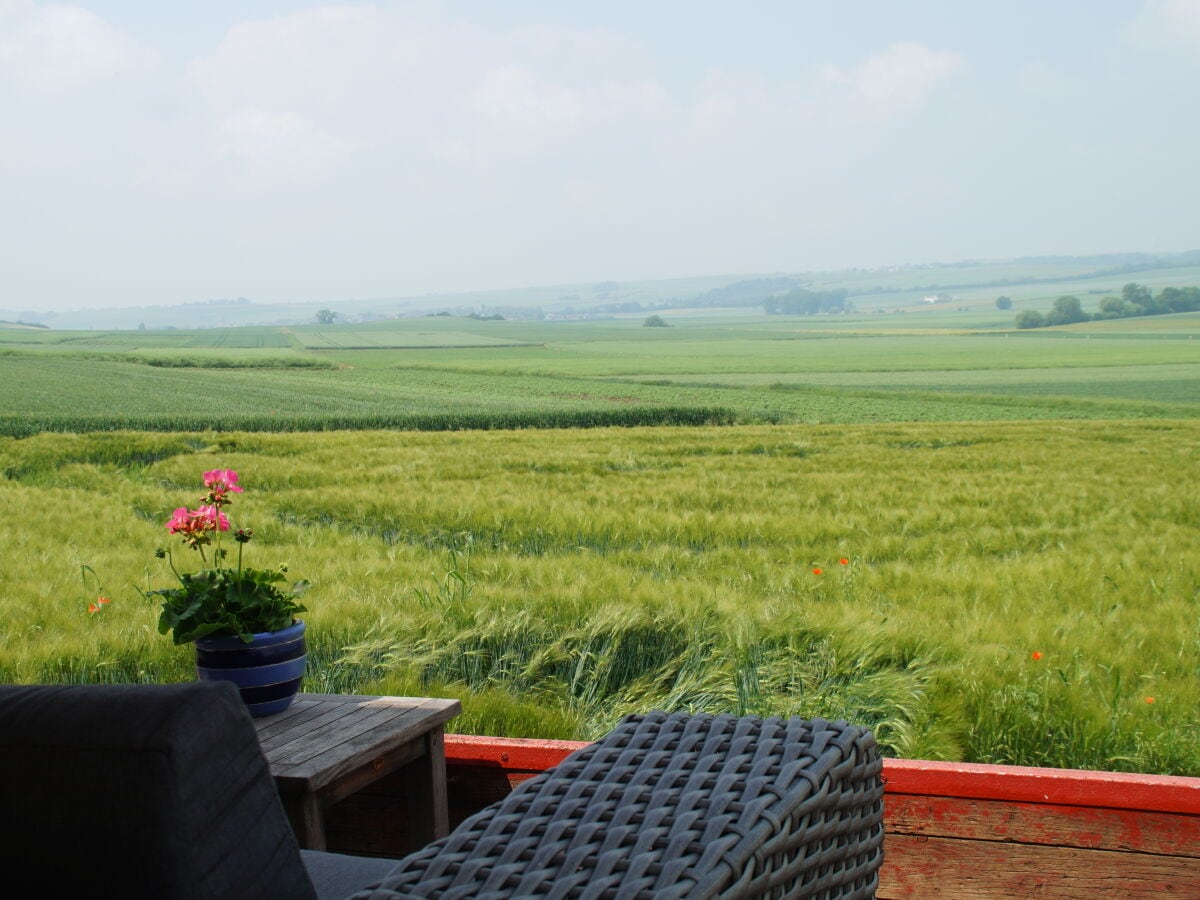 Panoramic view over the Maifeld