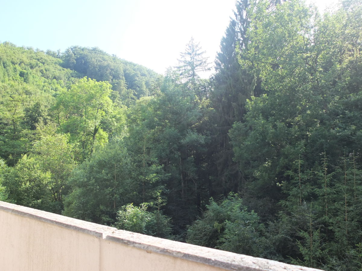 Vakantieappartement Bad Harzburg Buitenaudio-opname 1