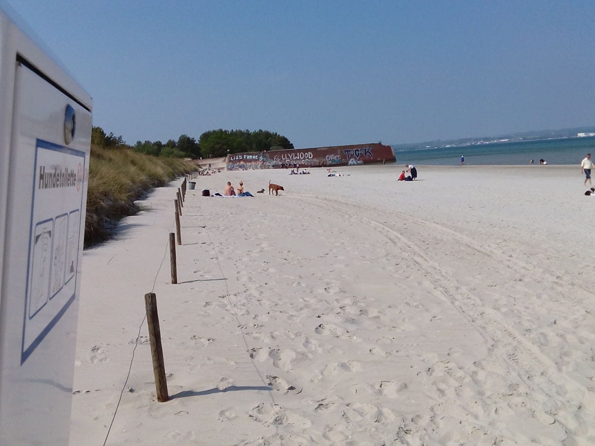 Hundestrand in 250m Entfernung