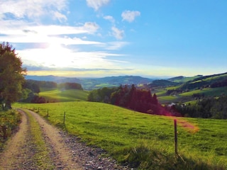 Blick ins Oberibental