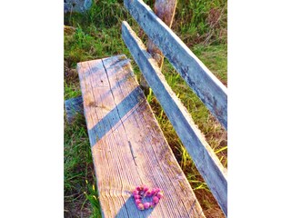 Fattoria St. Peter im Schwarzwald Ambiente 14