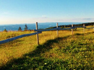 Fattoria St. Peter im Schwarzwald Ambiente 18