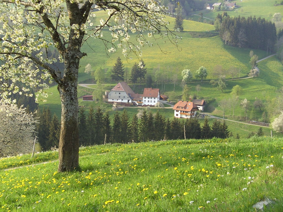 Bauernhof Dischenhof, St. Peter im Schwarzwald, Familie Adelbert  u.Hildegard Linder