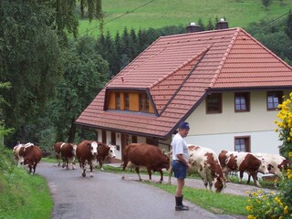 Fattoria St. Peter im Schwarzwald Ambiente 19