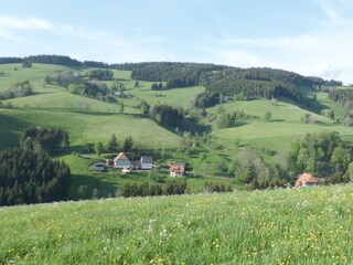 Boerderij St. Peter im Schwarzwald Buitenaudio-opname 3
