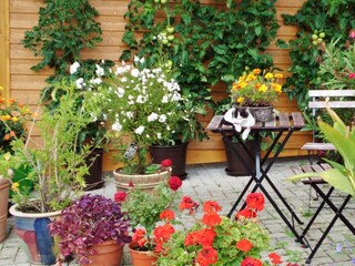 Boerderij St. Peter im Schwarzwald Buitenaudio-opname 5