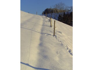 Fattoria St. Peter im Schwarzwald Ambiente 20