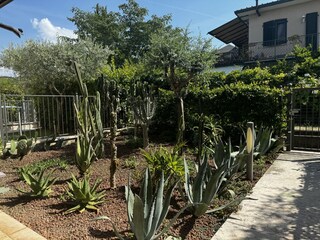 PRIVATER GARTEN
